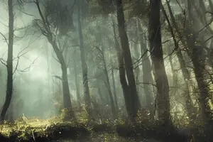 Паранормальное