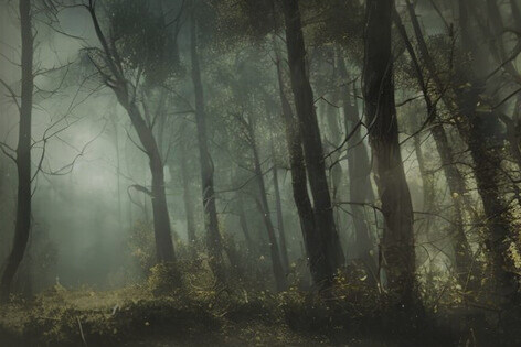 Квест-перформанс «Паранормальное» от LOST