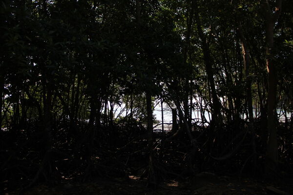 Самый страшный день